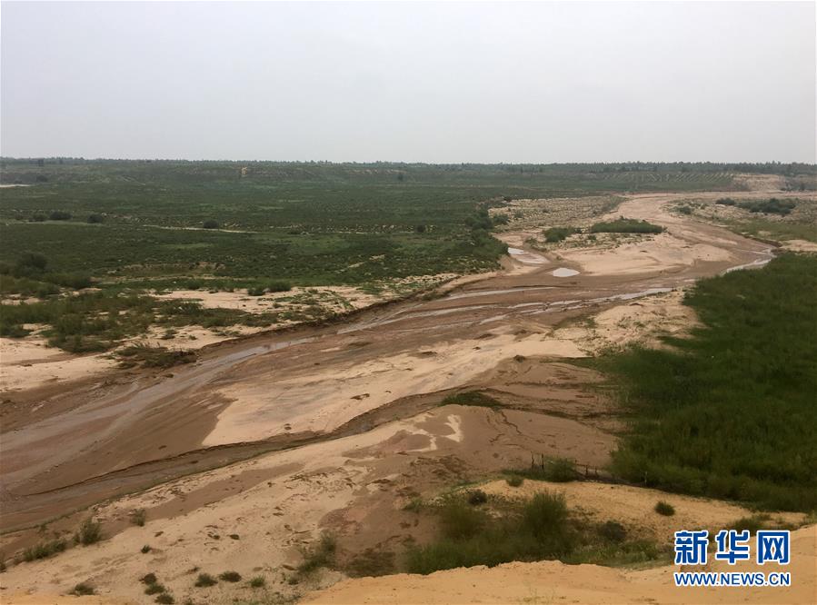 （新华全媒头条·在习近平新时代中国特色社会主义思想指引下——新时代新作为新篇章·图文互动）（5）绿富同兴画卷在沙海中铺展——库布其沙漠生态治理纪实