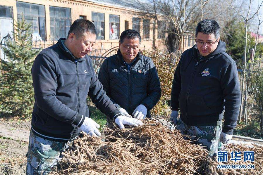 （在习近平新时代中国特色社会主义思想指引下——新时代新作为新篇章·总书记关心的百姓身边事·图文互动）（6）一本“村官”日记里的扶贫路——小故事里的大情怀之四