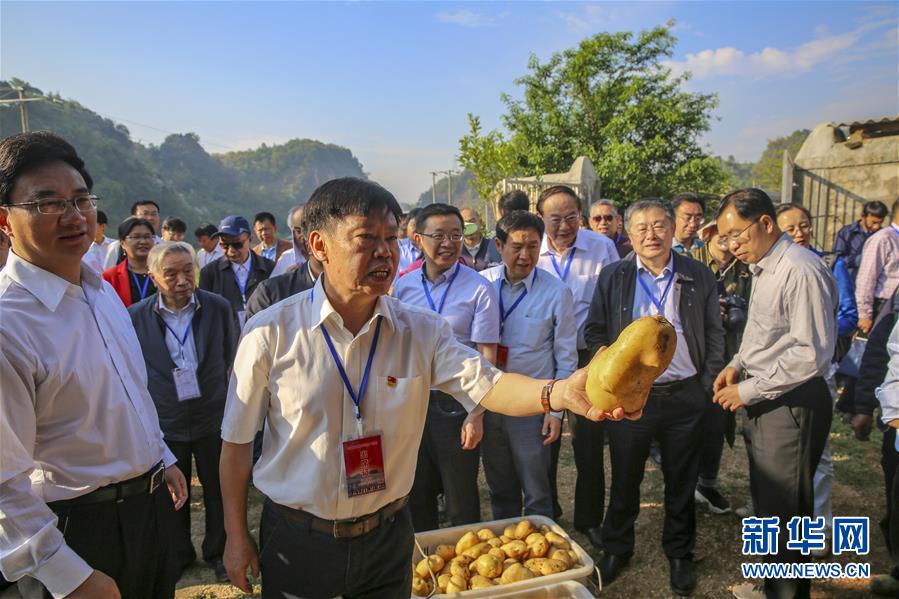 （新华全媒头条·时代先锋·图文互动）（5）“要把论文写在大地上”——记“农民院士”朱有勇