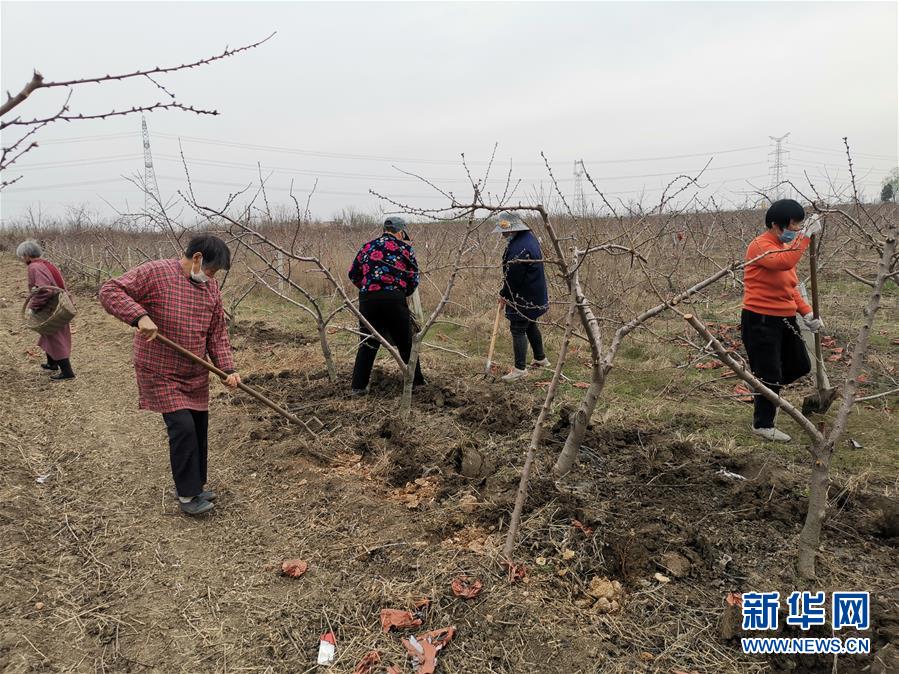 （新华全媒头条·图文互动）（10）春色最浓在田间——来自全国春耕备耕的现场观察