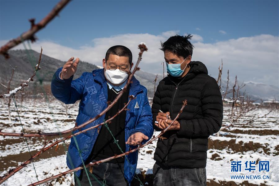 （决战决胜脱贫攻坚·聚焦三区三州·图文互动）（4）拓展新天地——云南迪庆藏区“新产业”掠影