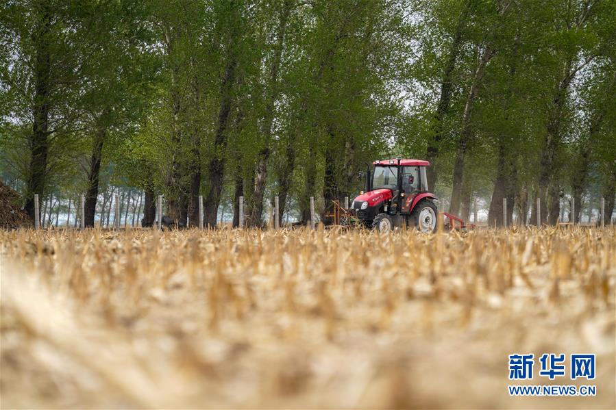 （在习近平新时代中国特色社会主义思想指引下——新时代新作为新篇章·习近平总书记关切事·图文互动）（9）让每一寸耕地都成为丰收的沃土——我国加强耕地?；ね平?ldquo;藏粮于地”