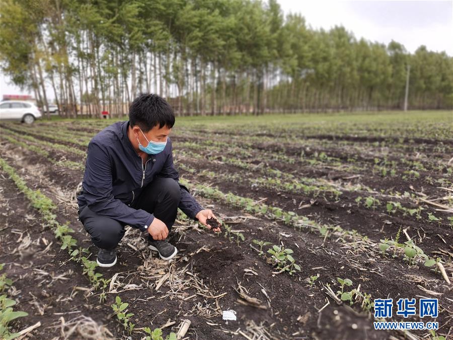 （在习近平新时代中国特色社会主义思想指引下——新时代新作为新篇章·习近平总书记关切事·图文互动）（6）让每一寸耕地都成为丰收的沃土——我国加强耕地?；ね平?ldquo;藏粮于地”