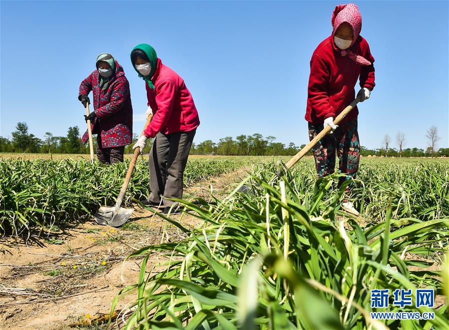 （新华全媒头条·图文互动）（17）从人民中汲取磅礴力量——习近平总书记同出席2020年全国两会人大代表、政协委员共商国是纪实