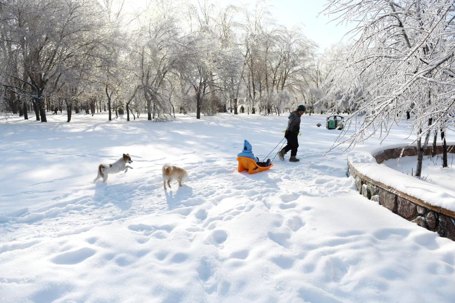 赏雪