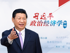 习近平政治经济学解码