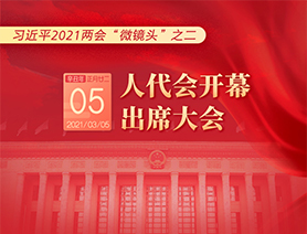 习近平2021两会“微镜头”之二：3月5日 人代会开幕，出席大会