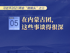 习近平2021两会“微镜头”之三 3月5日 在内蒙古团，这些事谈得很深